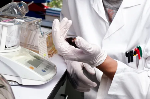 Biological Studies