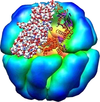 Molecular structures the company works with: proteins, nucleic acids and small molecules